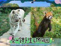 -西安秦岭野生动物园