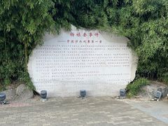 -南山公园