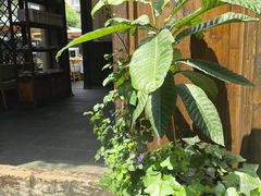 -见山书院