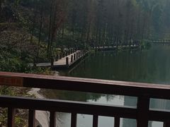 -重庆彩云湖湿地公园