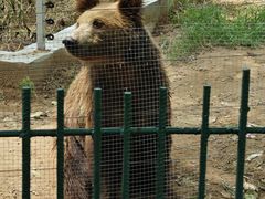 -秦皇岛野生动物园