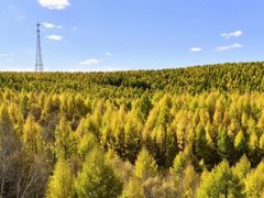 -塞罕坝国家级自然保护区