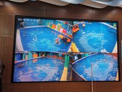 -Swim斯卫姆国际儿童游泳中心(红博中央公园店)