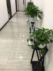 点击看大图 -悟空祛痘·亚健康皮肤管理中心