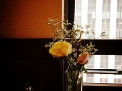 -春草居酒屋·晴子の店