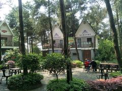 -铁山坪森林公园