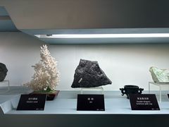 -甘肃地质博物馆