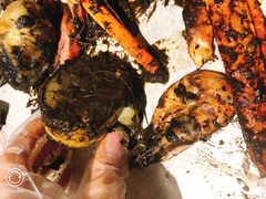 -Catch the Cajun Seafood(表参道店)