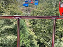 -青城山