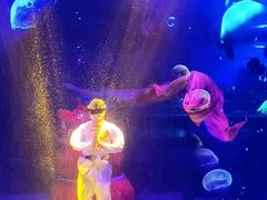 -顺德南宏海立方海洋公园