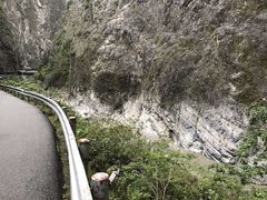 -太鲁阁公园