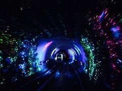 -东方明珠国际旅行社有限公司