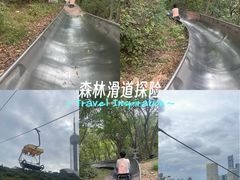 -富斯特索道