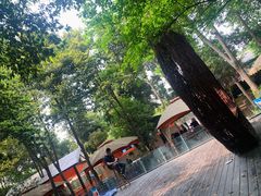 -二荆条·蜀鲜汇城市森林火锅