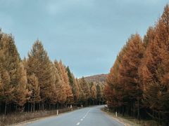 -塞罕坝国家级自然保护区