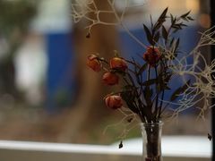 -Kekimatata 生日蛋糕·烘焙教学