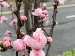 -蓝宝石大厦(天目中路)