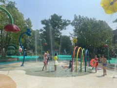 -苏州乐园森林水世界