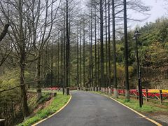 -莫干山风景区