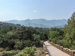 -白水寺森林公园