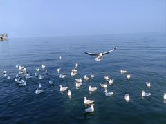 -大理洱海
