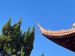 -苏州文庙(姑苏区)