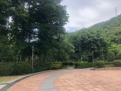 -小南山公园