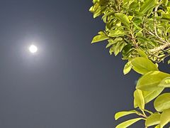 -金悦轩海鲜城(渔人码头店)