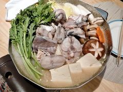 河豚鱼锅-琴寿司居酒屋(中山广场店)