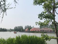 -上海长兴岛郊野公园