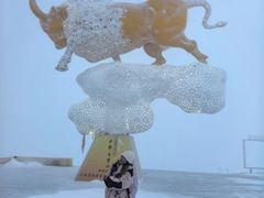 -牛背山