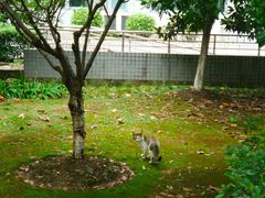 -江南大学(蠡湖校区)