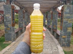 -阿桃甘蔗汁
