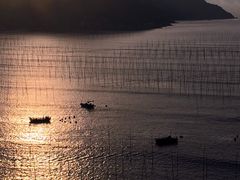 -北岐滩涂