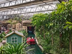 -南宫五洲植物乐园