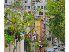 -溪岸路花鸟市场