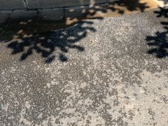 -索拉古贝(义乌北苑店)