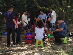 -从化深英荔枝黄皮龙眼采摘园