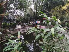 -成都市活水公园