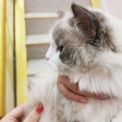 -Beauty Nails 美甲美睫皮肤管理