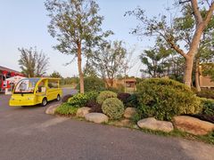 -上海长兴岛郊野公园