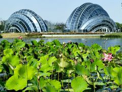 -上海植物园-4号门售票处