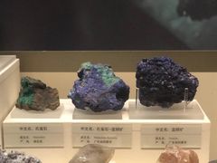 -天津自然博物馆