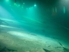 -白鹤梁水下博物馆