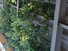 -金塔傣乡·云南民族特色菜·傣味手抓饭(金瓦路店)