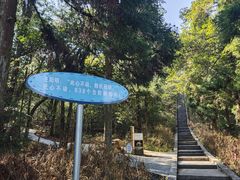 -江西阳明山国家森林公园