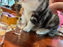 -咖法森林·咖啡  酒吧(天河店)