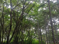 -长春市南湖公园