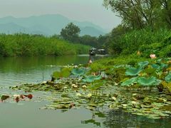-西溪国家湿地公园