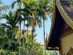 -西双版纳傣族园